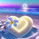 Vincent -Don Mclean (Starry Starry Night) wit..../Paul Simon -The Boxer 이미지
