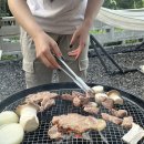 블랙트리하우스 이미지