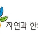 자연생생한의원 네이버블로그