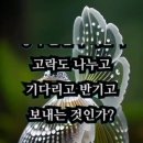 말 말 말 이미지