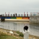 2026 추암 별빛 야행 - 추암해변 야간 걷기대회 행사 참여 후기