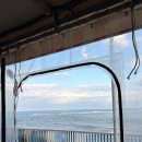 청사포횟집 | (내돈내산)부산 청사포 착한횟집 조개구이