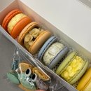 대전 변동 마카롱 4+1! 마카롱 맛집 슬기정!!