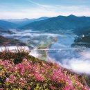 지리산산새소리 조선일보