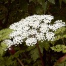 귀선농장 이미지