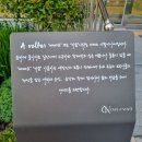 용산호호 | 정읍 용산호 대형카페 아보르떼 단호박크림치즈깜빠뉴에 반하고 온 후기