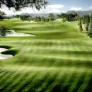 엠스클럽의성 이미지