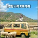 사이투어여행사