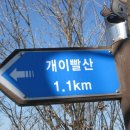 광덕1로6 이미지