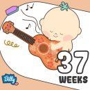 제왕세탁 이미지