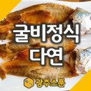 다연 정식 이미지