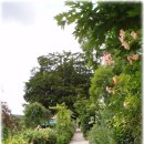 모네의정원 이미지