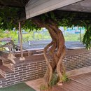 귀빈갈비 이미지