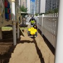 키제코::모래소독::[3764째 후기]::새빛유치원 모래소독,코로나19방역