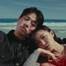 고여도 마이데일리