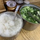 청수얼음