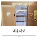 노원구청 | 노원역 미용실 예움헤어 노원구청점 재방문 후기, 단발에서 톤 다운 염색까지