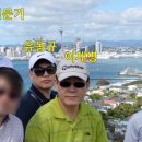 김교유 노컷뉴스