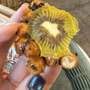 화순성심병원 이미지