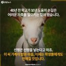 염소한마리 이미지