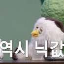 딩동댕 이미지