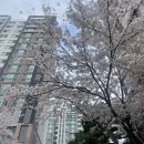 삼삼약국 이미지