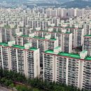 대전 서구 둔산 재건축 '시동'...이해관계 조율이 관건 이미지