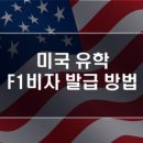 비자노아 이미지