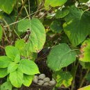 기서농장 이미지