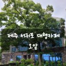 오알카페 | 제주 서귀포 대형 카페 오알 제주투어패스 이용 후기