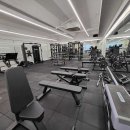 인트로짐 이미지