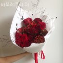 비브레 이미지