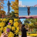 CU 타워플러스점 | 속초 가볼만한곳 청초호 가을 여행코스 with 프리미엄 생수 몽베스트 330ml