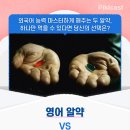 영어 알약 vs 중국어+일본어 알약 이미지