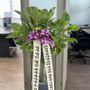 법무법인믿음 이미지