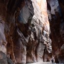 자이언 캐넌 Zion National Park 이미지