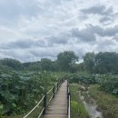 궁남지 서문주차장 이미지