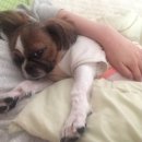 비산3동-2 이미지