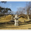 이사위묘 이미지