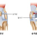 데이동물의료센터 이미지