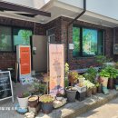 영희네집밥 이미지