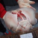 고하대로 672 ~672-1 이미지