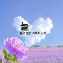 아름다운꽃