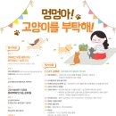 멍멍아 이미지