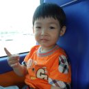 아기공룡 크로롱 이미지