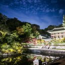 태종철재 | 창덕궁과 창경궁을 함께 즐기기 고궁 나들이