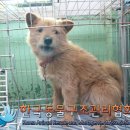 그루고개로 이미지