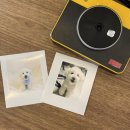 그루밍 모먼트 이미지