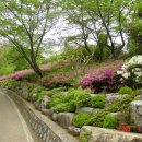 주산체육관 이미지