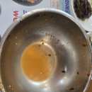 포항시 문화예술회관 | [인천 구월동 맛집] 포항집 | 신선함 끝판왕 '해전물회' 내돈내산 솔직후기